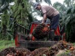 Tuntutan 3 Pasar Besar Minyak Sawit Indonesia terhadap Relaksasi Aturan Ekspor