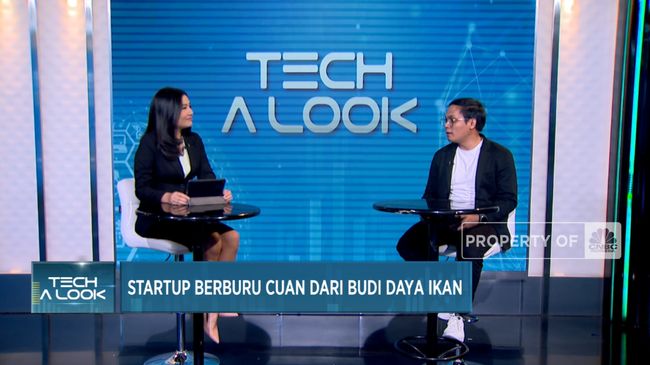 Start Up Perikanan Menjanjikan dengan Cuan Tinggi