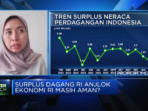 Kenaikan Impor Beras Menyebabkan Penurunan Surplus Dagang, Apa Dampaknya?