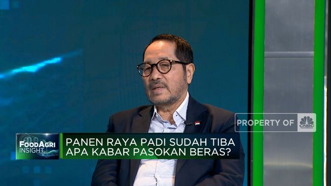 Kesalahan Pengelolaan Sistem Pertanian Berpotensi Menyebabkan Penurunan Produksi Beras