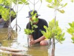 Bank BRI Distribusikan Ribuan Bibit Mangrove ke Kelompok Tani di Muaragembong